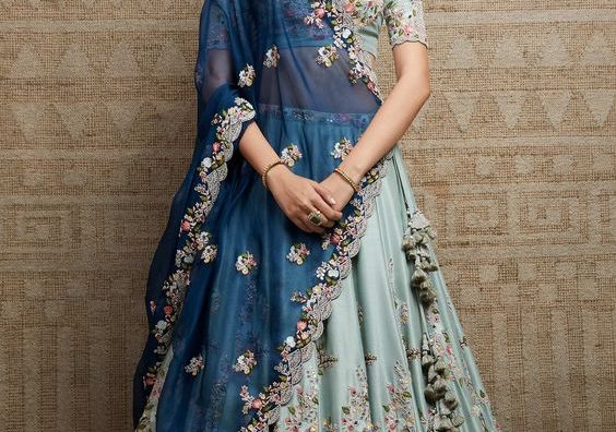 Lehengha designs