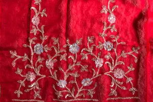 Saree Designs Saree Designs